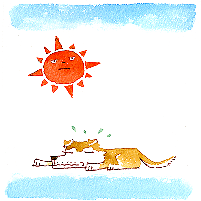 残暑の犬
